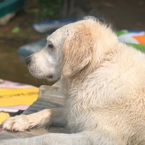 Meet your Posher, Heidi